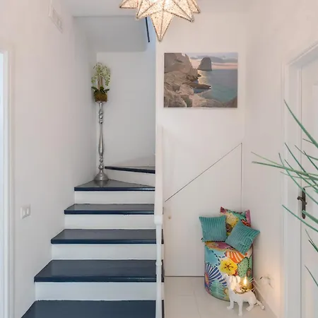 Navarra * برايانو